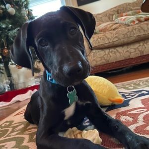 Meet your Posher, Matthew